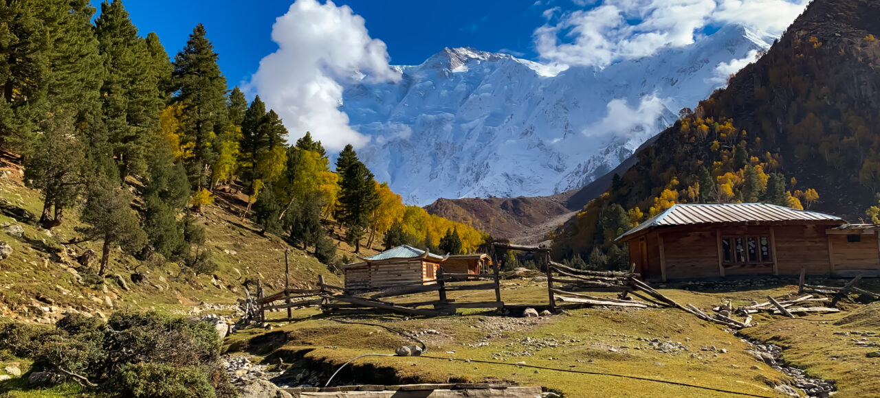 Fairy meadows in autumn