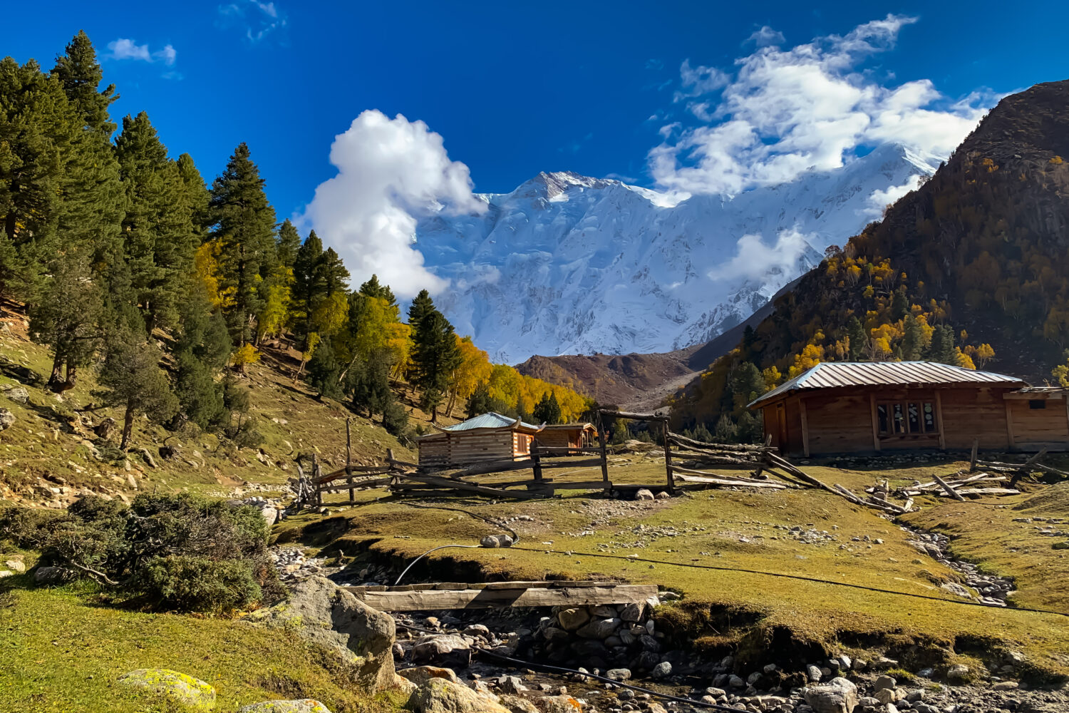 Fairy meadows in autumn