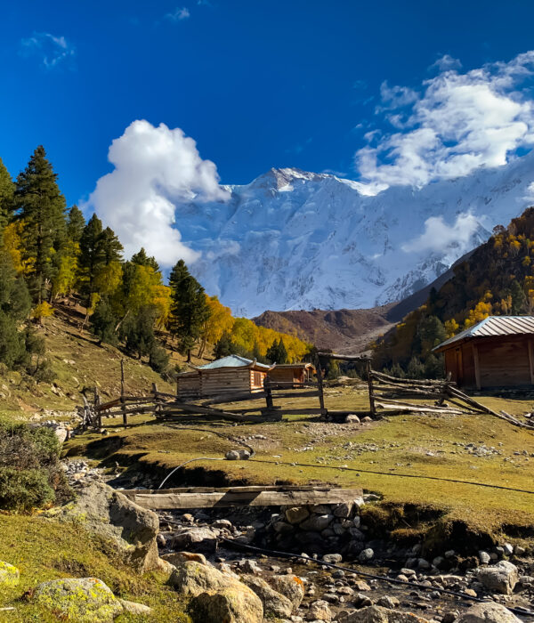 Fairy meadows in autumn