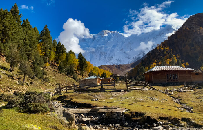 Fairy meadows in autumn