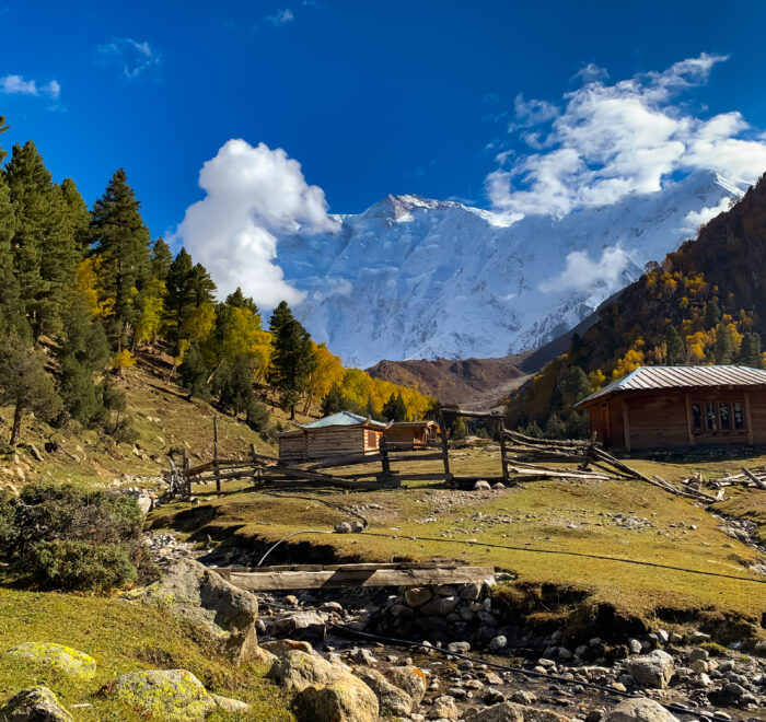 Fairy meadows in autumn