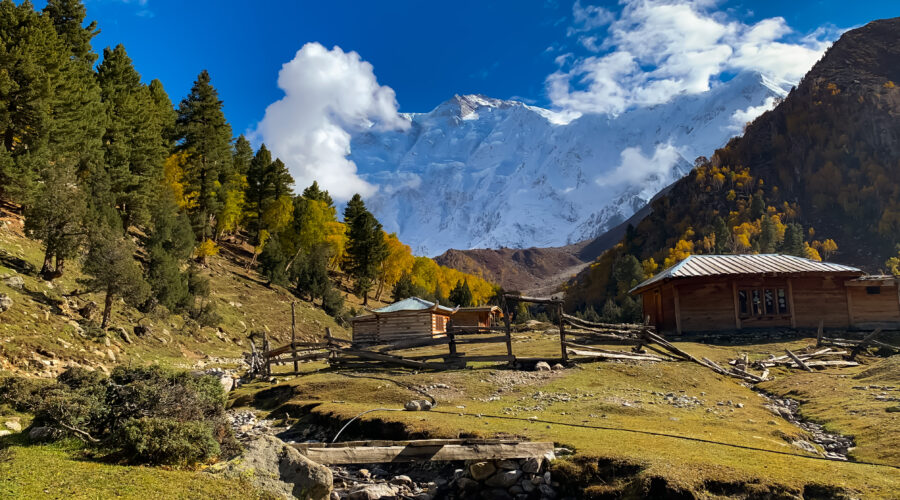 Fairy meadows in autumn