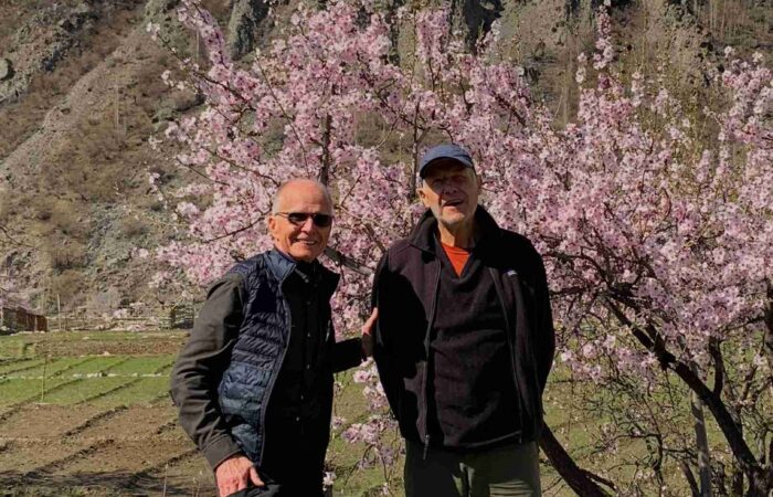Blossom-picture-of-Hunza