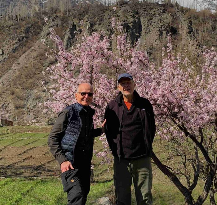 Blossom-picture-of-Hunza