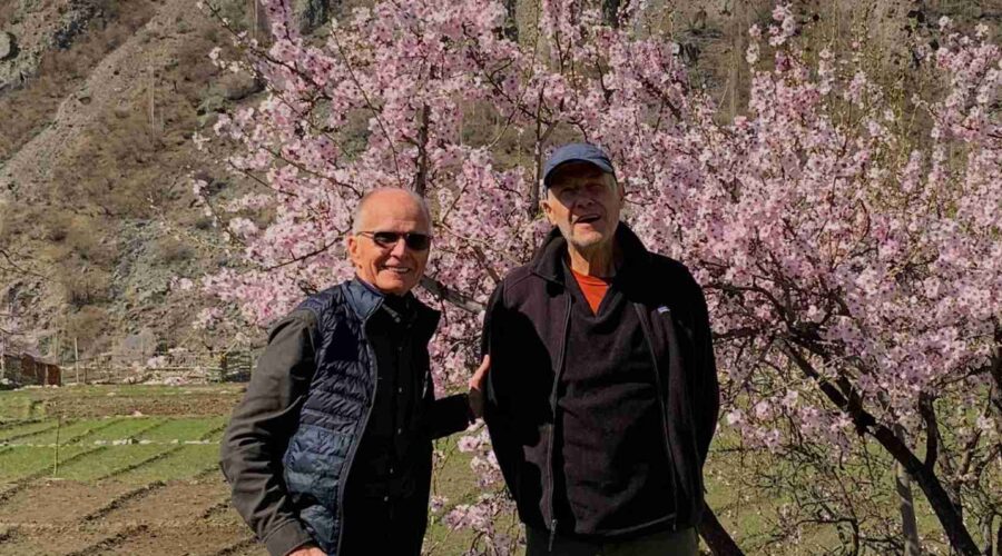 Blossom-picture-of-Hunza